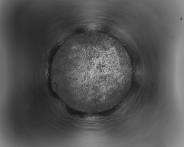 X0000089710746200707121412