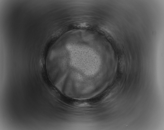 X0000089710747200707121412