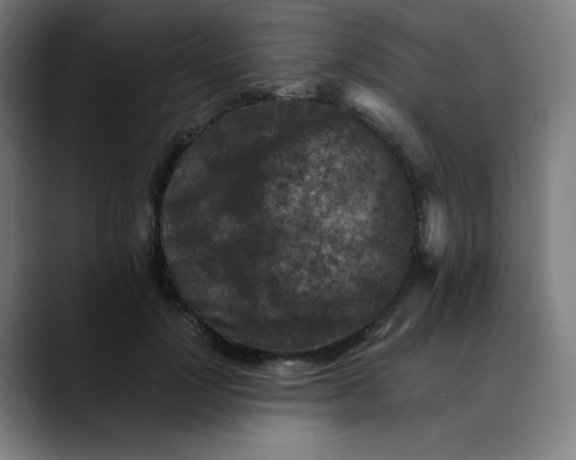 X0000089710748200707121412