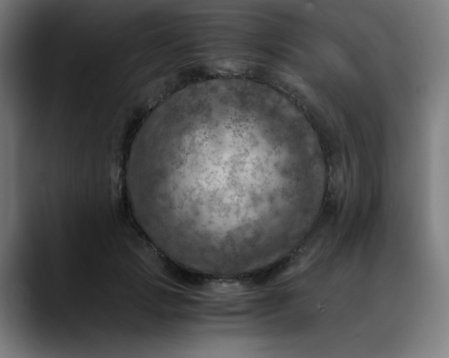 X0000089710749200707121412