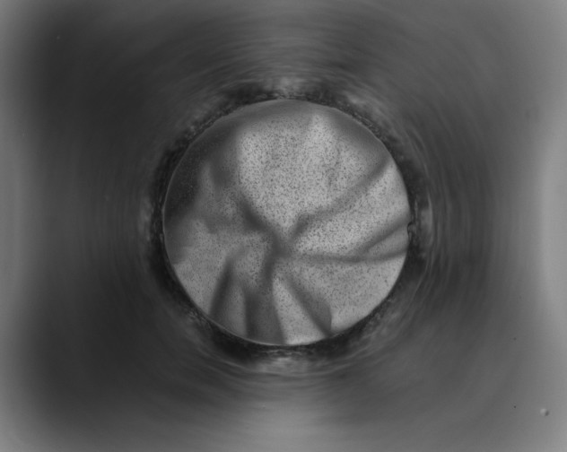 X0000089710750200707121412