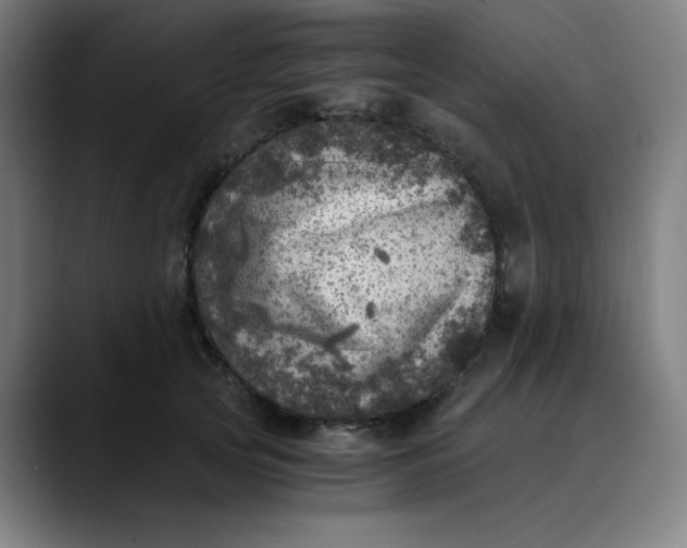 X0000089710753200707121412