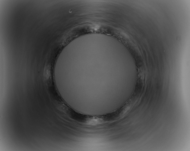 X0000089710754200707121412