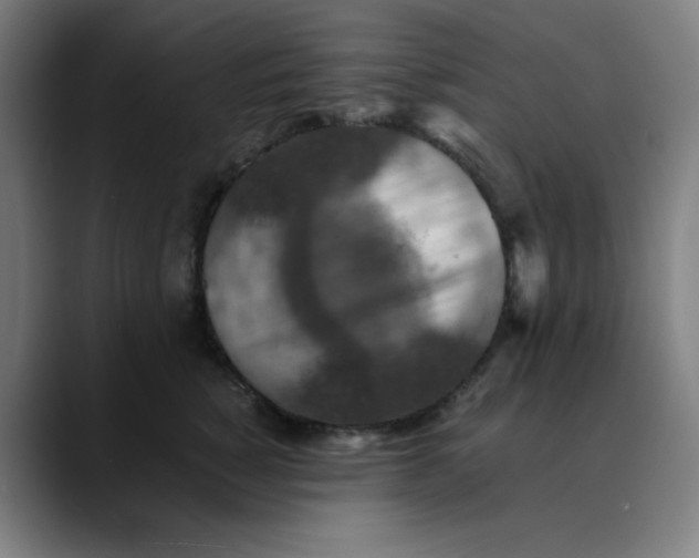 X0000089710760200707121412