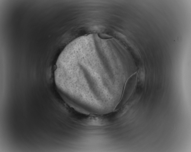 X0000089710764200707121413