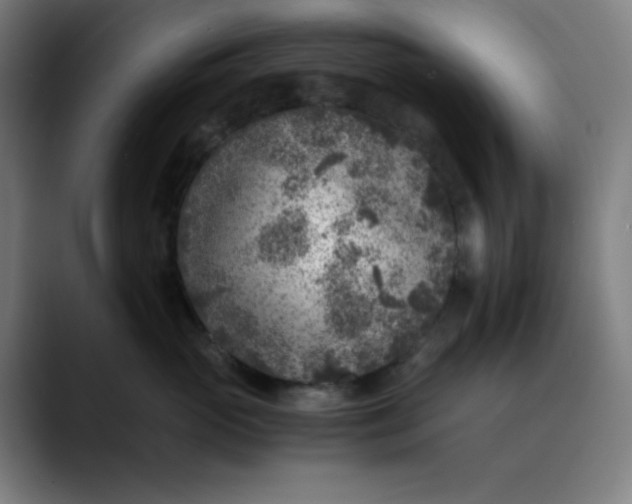 X0000089710765200707121413