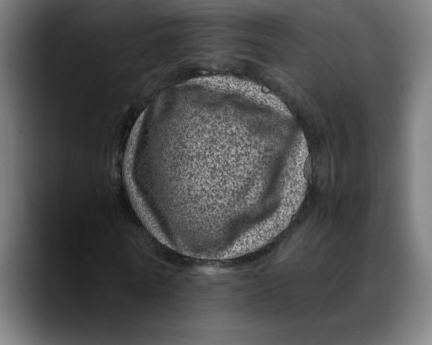 X0000089710770200707121412