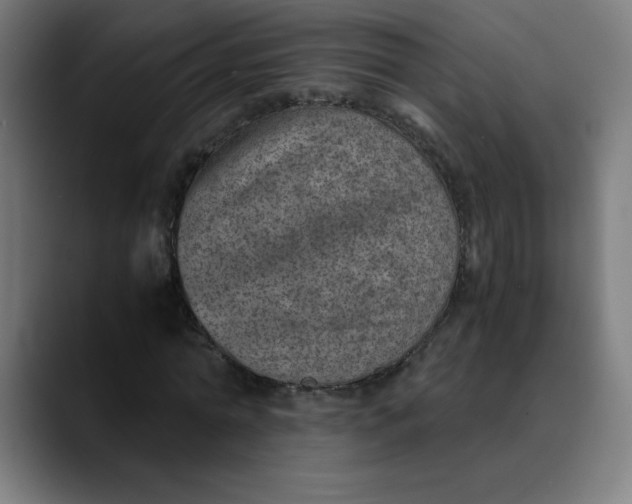 X0000089710774200707121412