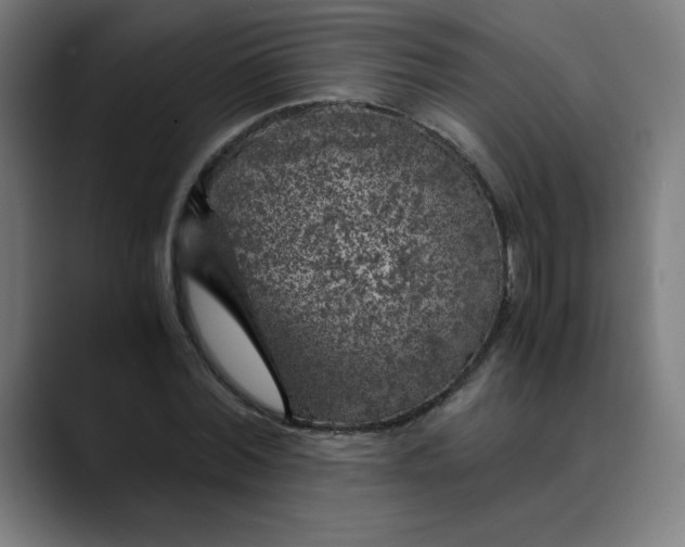 X0000089710780200707121412