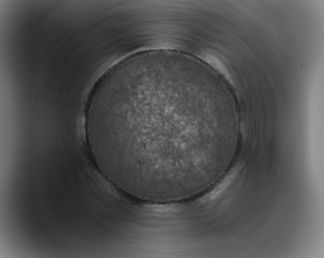 X0000089710781200707121412