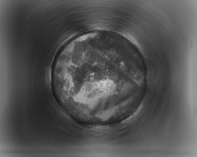 X0000089710790200707121412