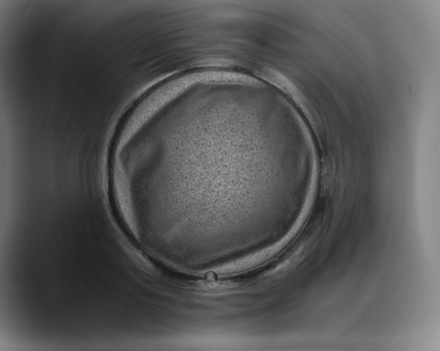 X0000089710795200707121412