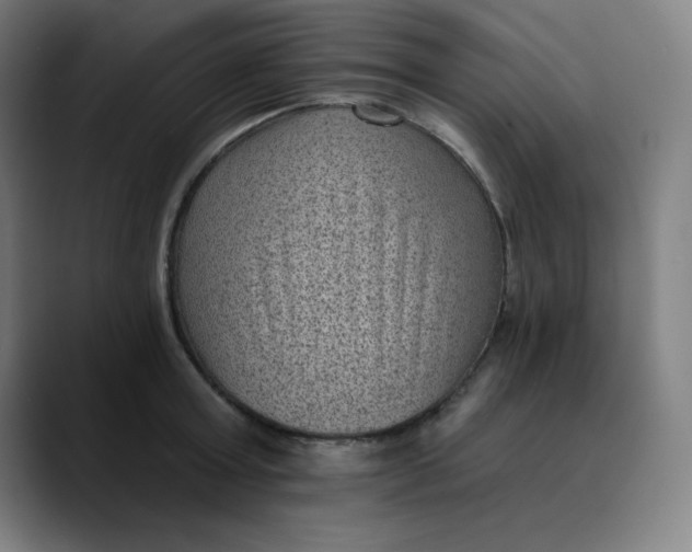 X0000089710803200707121412