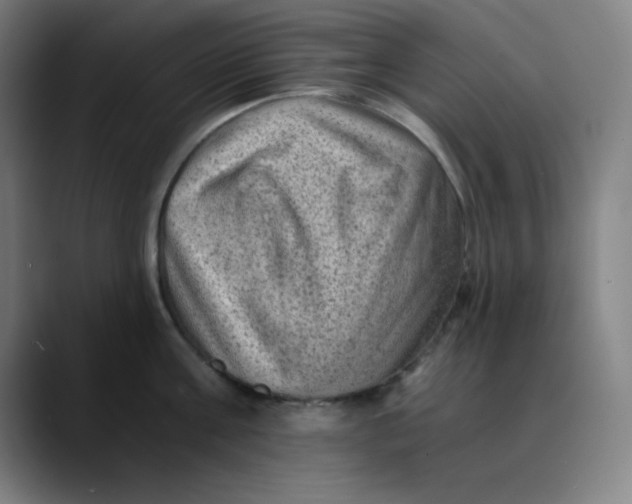 X0000089710811200707121412