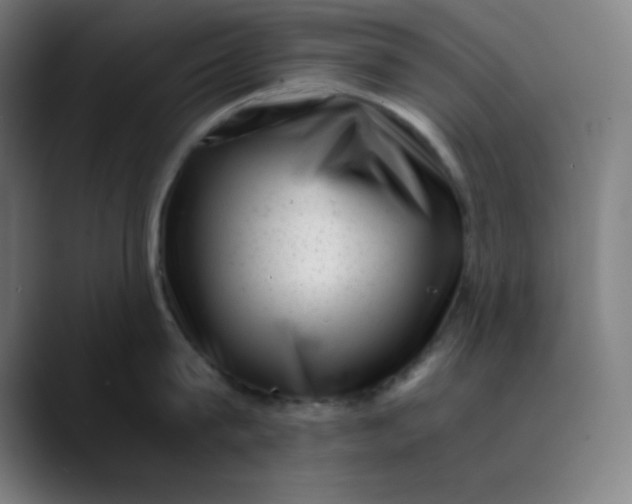 X0000089710815200707121411