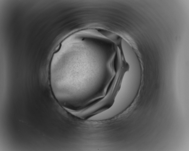 X0000089710816200707121411