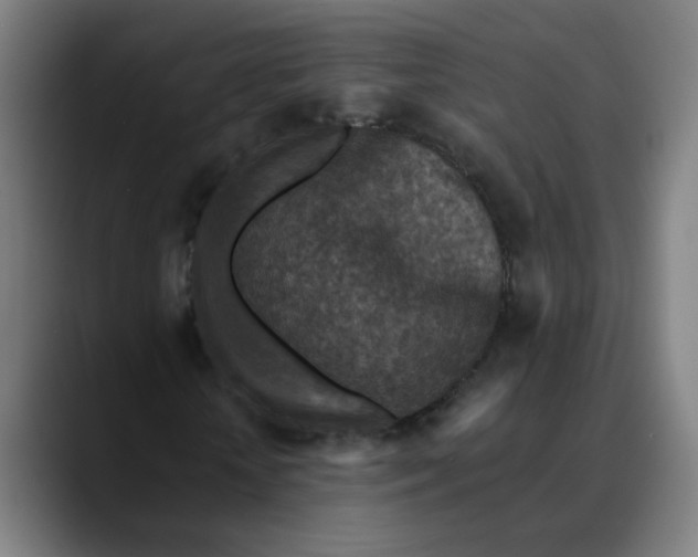 X0000089710818200707121411