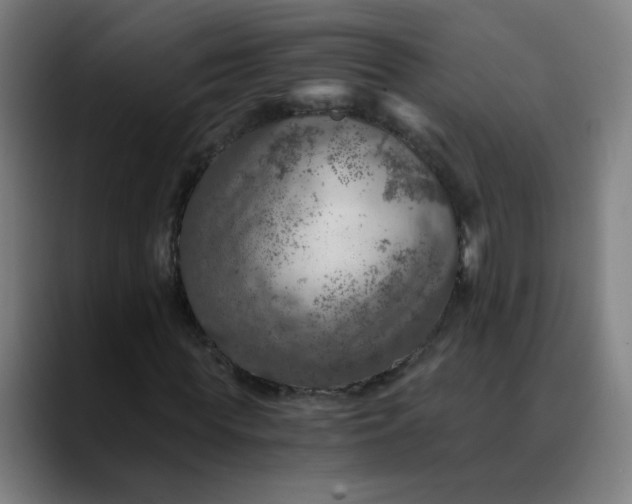 X0000089710819200707121411