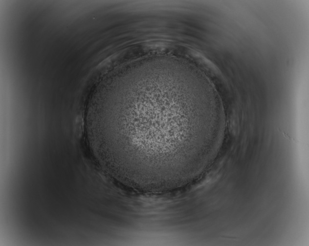 X0000089710821200707121411