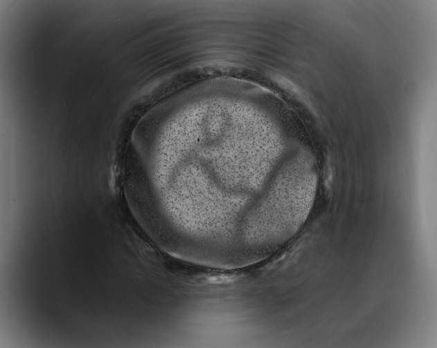 X0000089710822200707121411