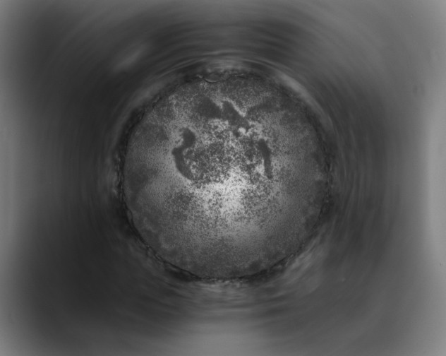 X0000089710823200707121411