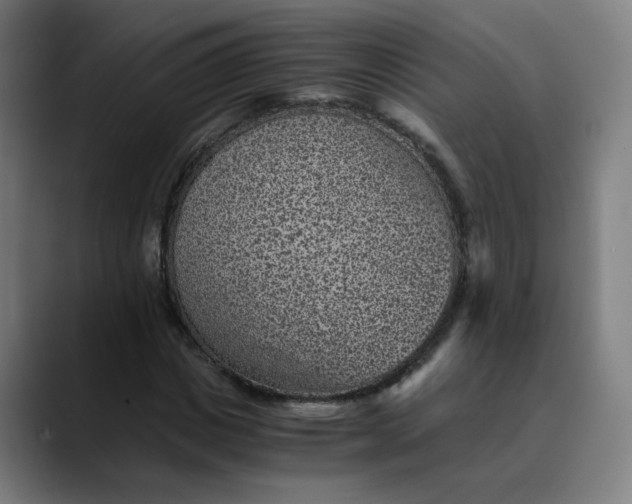 X0000089710825200707121411