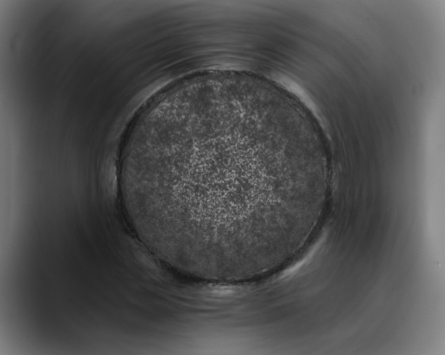 X0000089710829200707121411