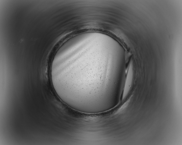 X0000089710830200707121411