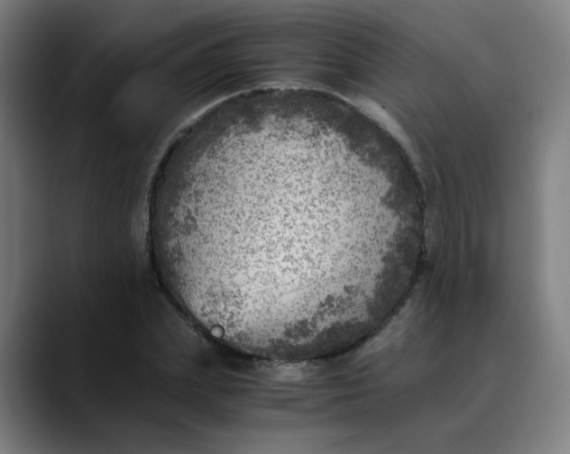 X0000089710831200707121411