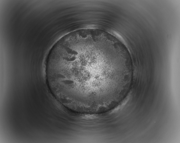 X0000089710835200707121411