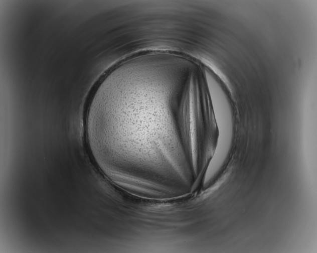 X0000089710837200707121411