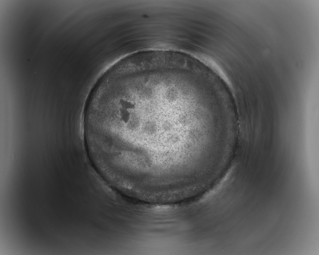 X0000089710839200707121411