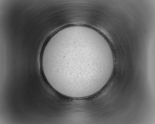 X0000089710840200707121411