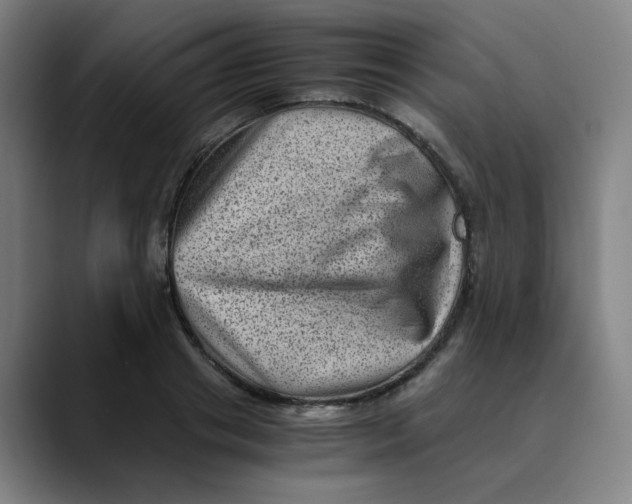 X0000089710841200707121411