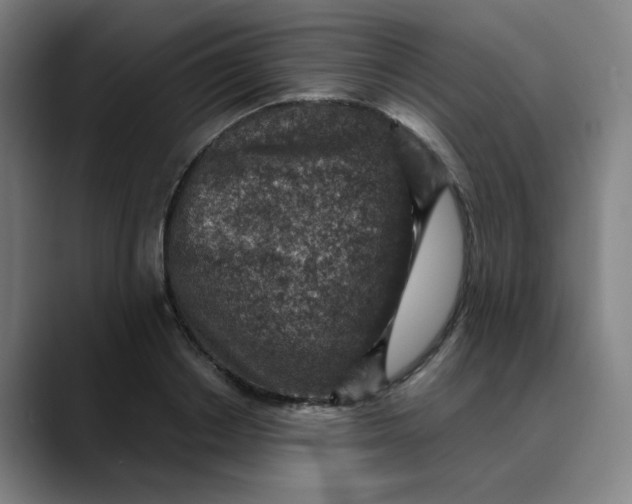 X0000089710842200707121411