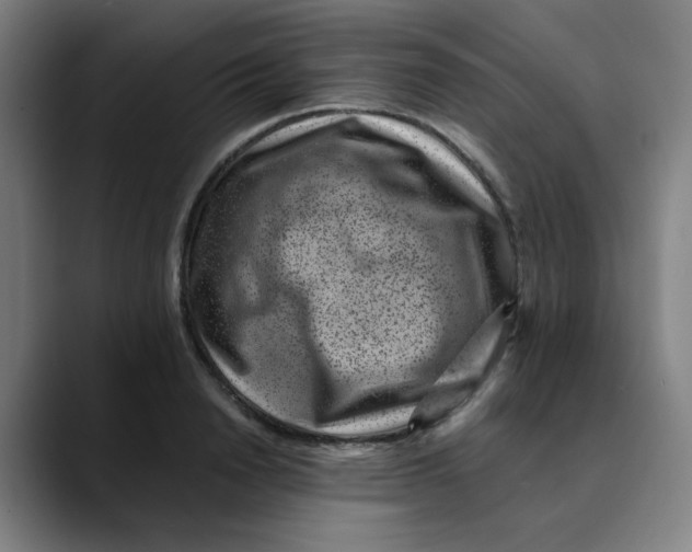 X0000089710846200707121411