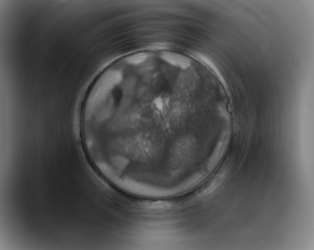 X0000089710851200707121411