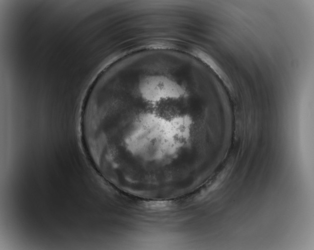 X0000089710853200707121411