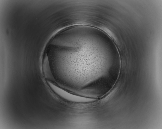 X0000089710854200707121411