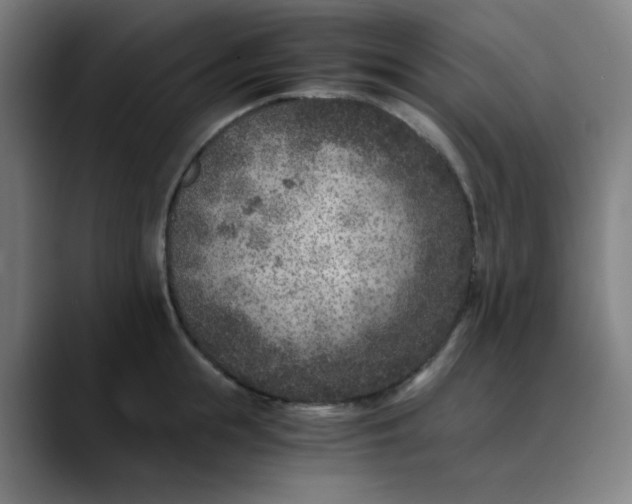 X0000089710855200707121411