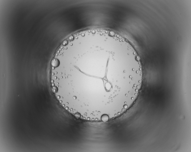 X0000089710856200707121411