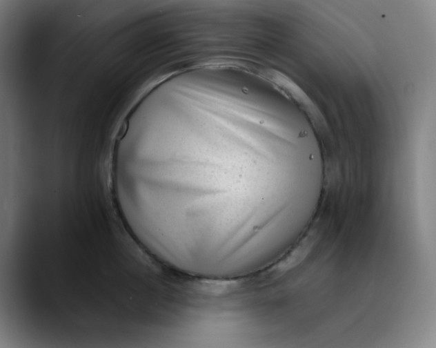 X0000089710860200707121411