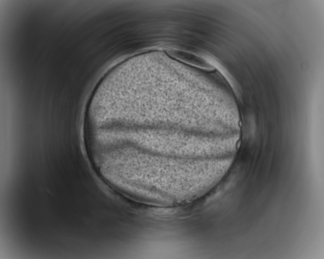 X0000089710861200707121411