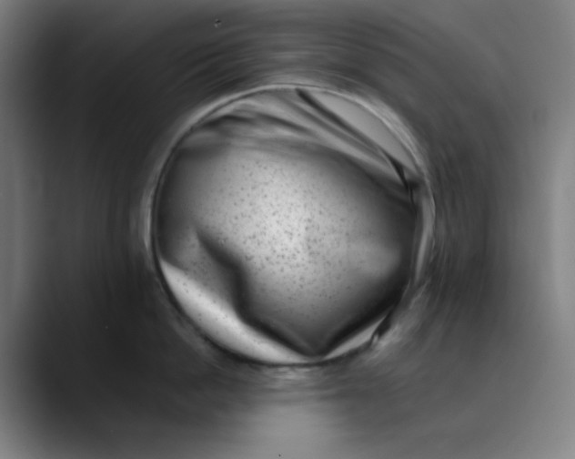 X0000089710862200707121411