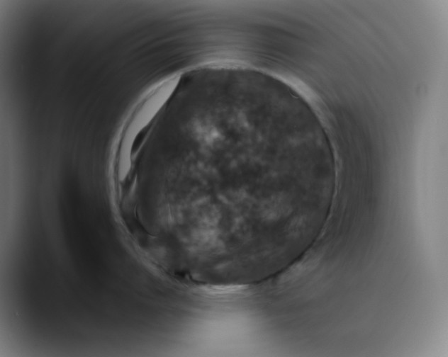 X0000089710864200707121411