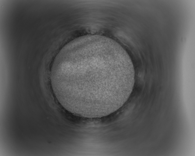 X0000089710865200707121411