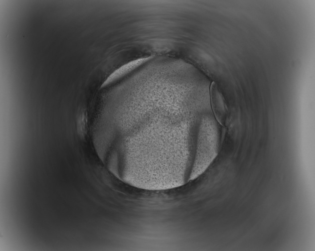 X0000089710866200707121411