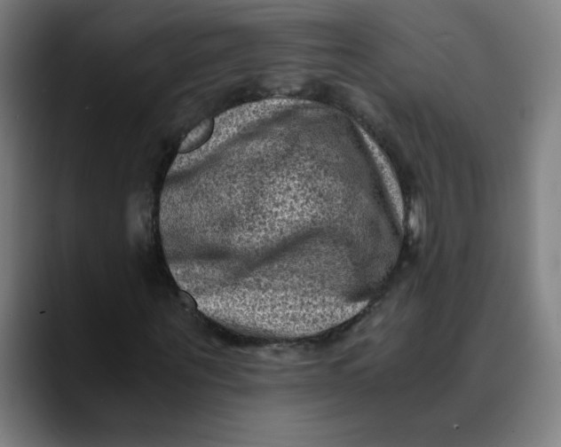 X0000089710867200707121411