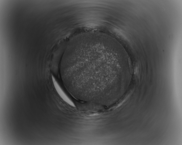 X0000089710868200707121411