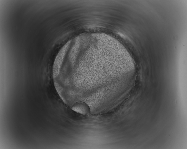 X0000089710870200707121411